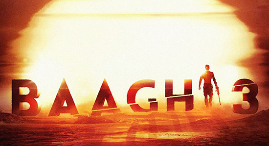 baaghi 3 song download